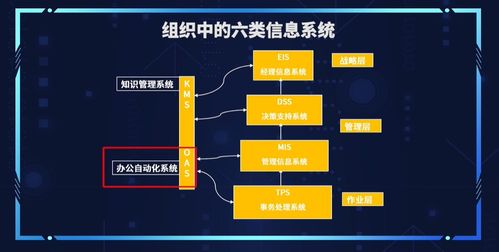 管理信息系統 二 2.8